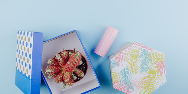Customized Gift Boxes Printing Services in Dubai